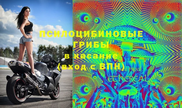 COCAINE Баксан