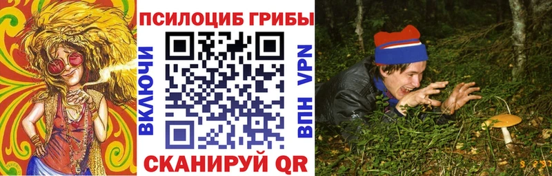 купить наркотики цена  Петушки  дарк нет как зайти  Галлюциногенные грибы Psilocybe 